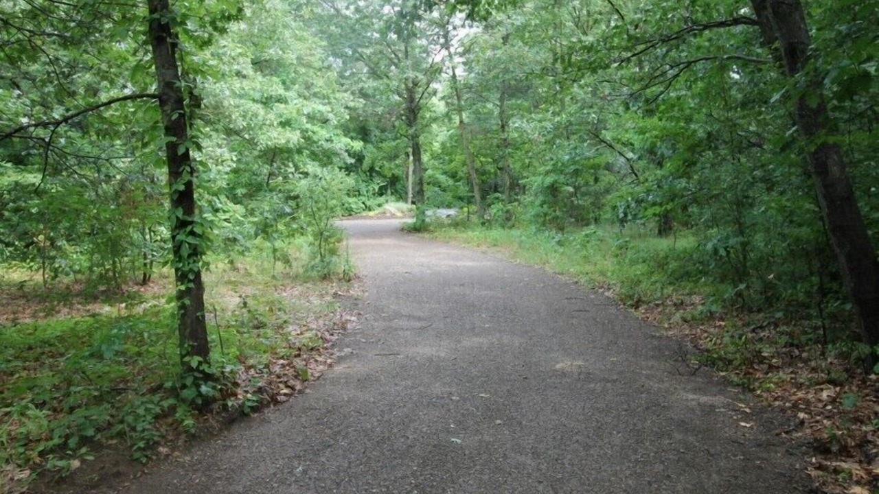 Photo of Outdoor in Saugatuck