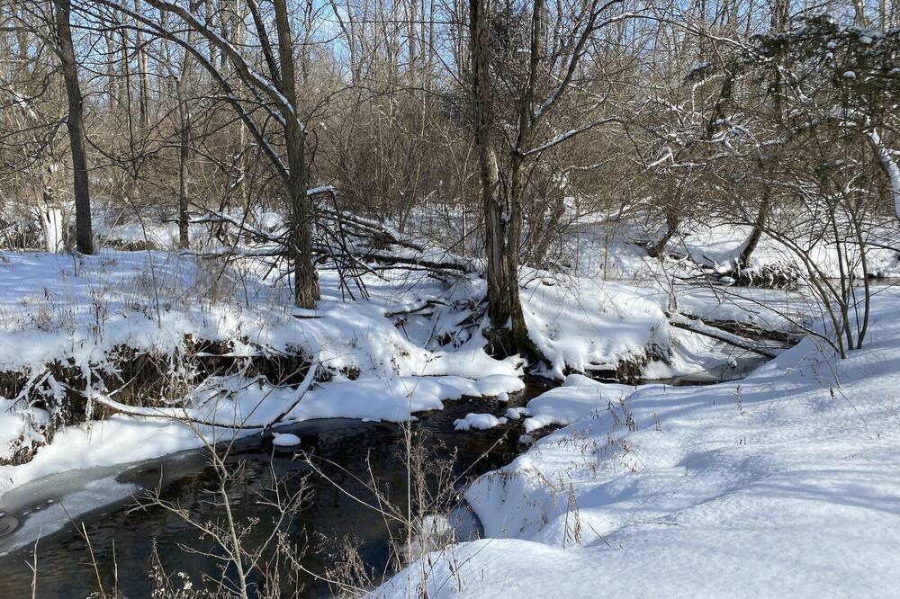 Photo of Outdoor in Greenfield