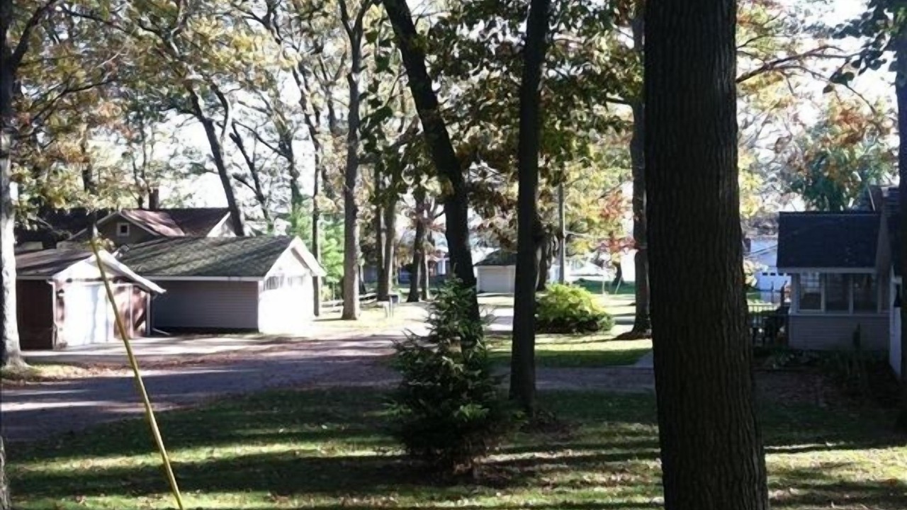Photo of Outdoor in Holland