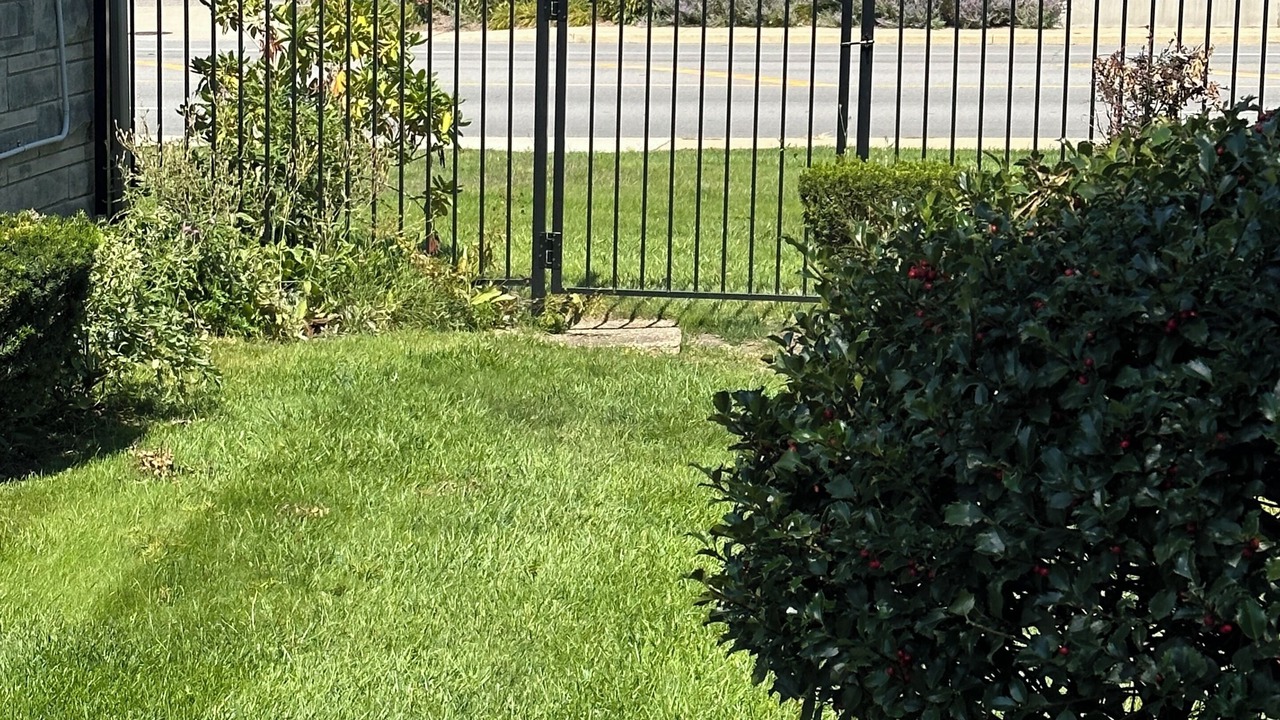 Photo of Outdoor in Wooded Estates