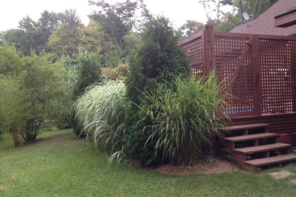 Photo of Outdoor in Lakeside