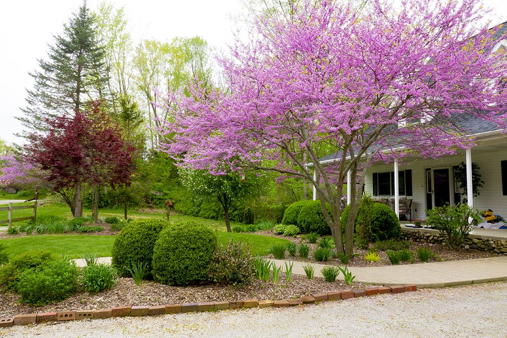 Photo of Outdoor in Syracuse