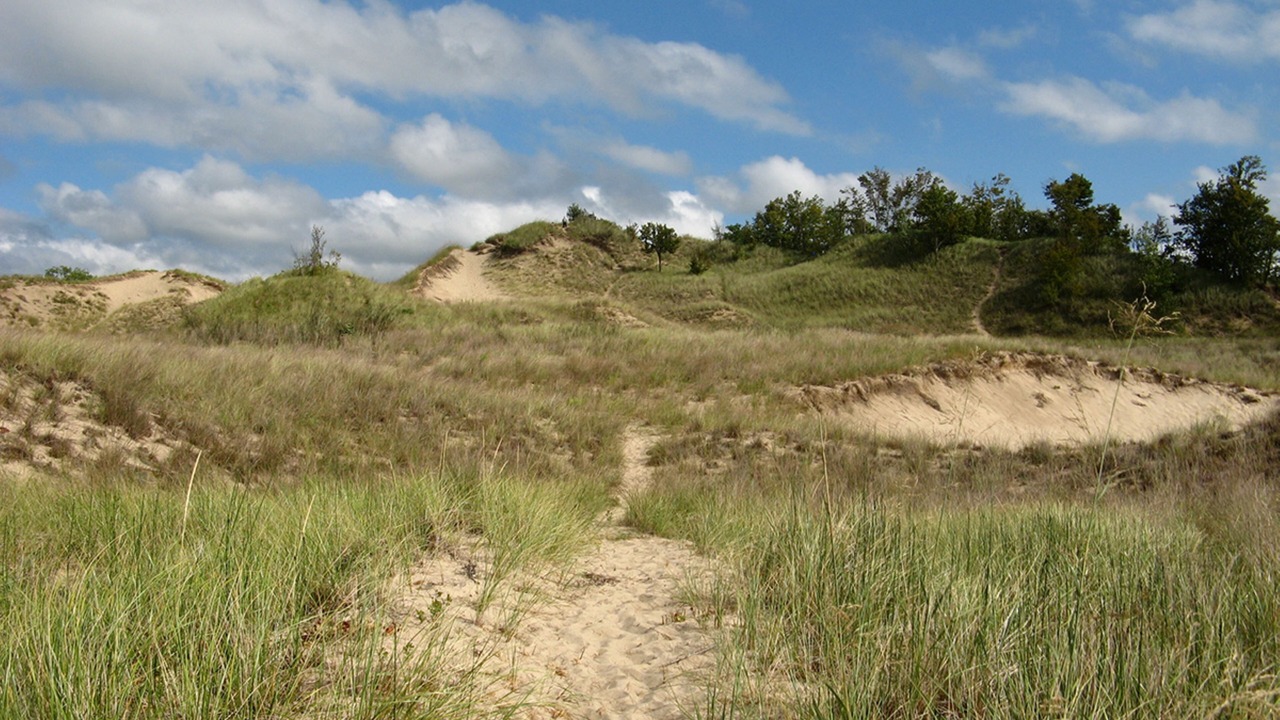 Photo of Others in Stevensville