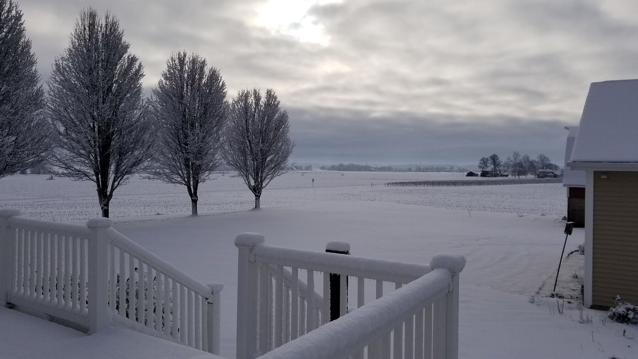 Photo of Outdoor in Stevensville