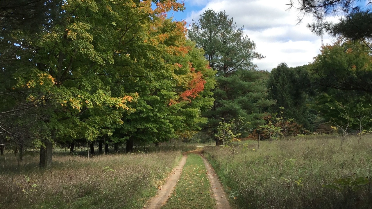 Photo of Outdoor in Delton