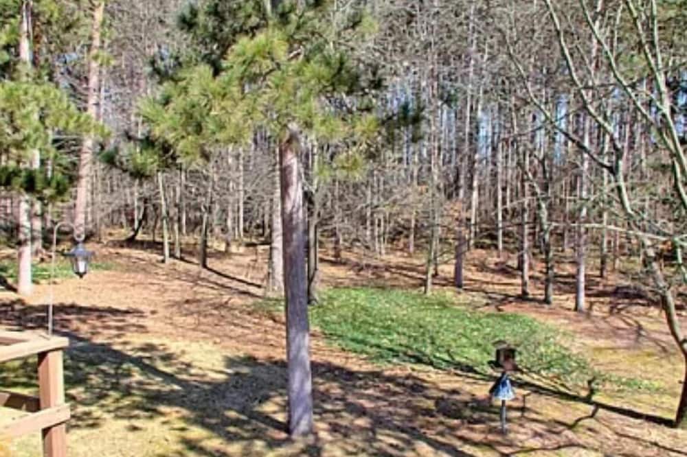 Photo of Outdoor in Grand Rapids