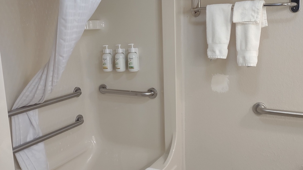 Photo of Bathroom in Flat Rock