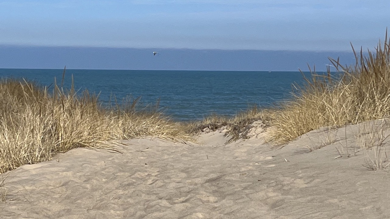 Photo of Others in Michigan City