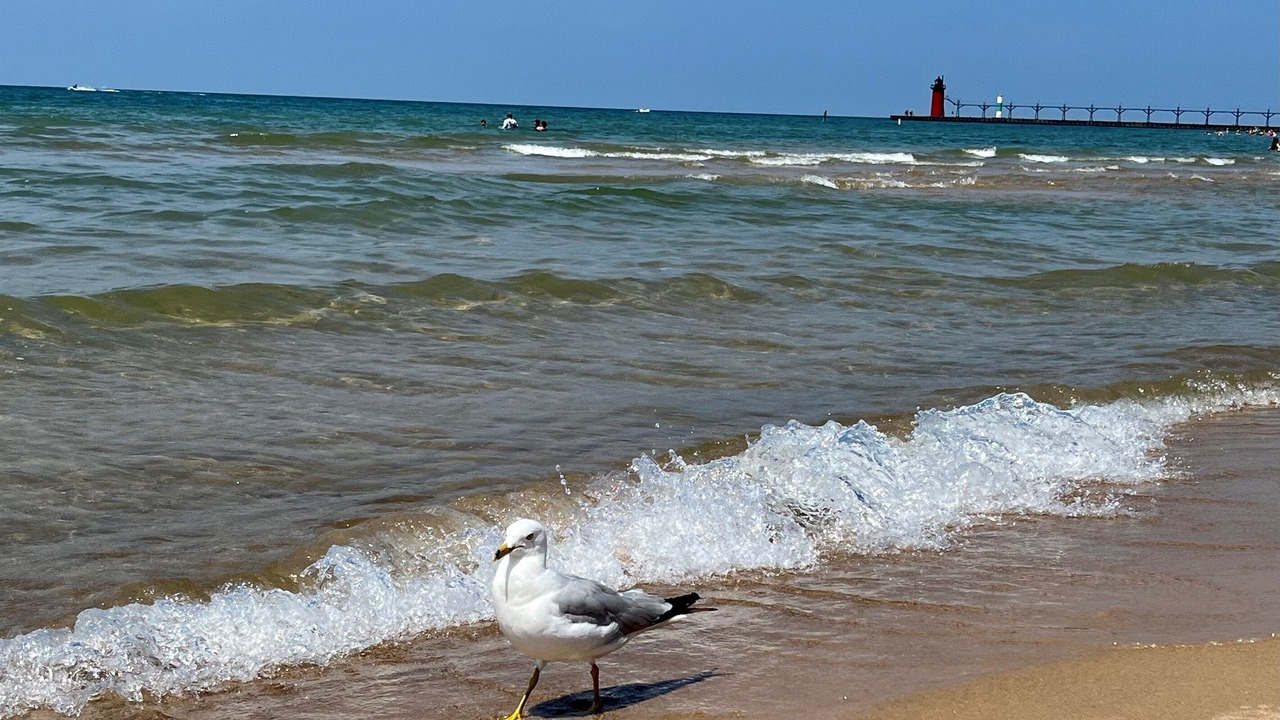 Photo of Others in South Haven