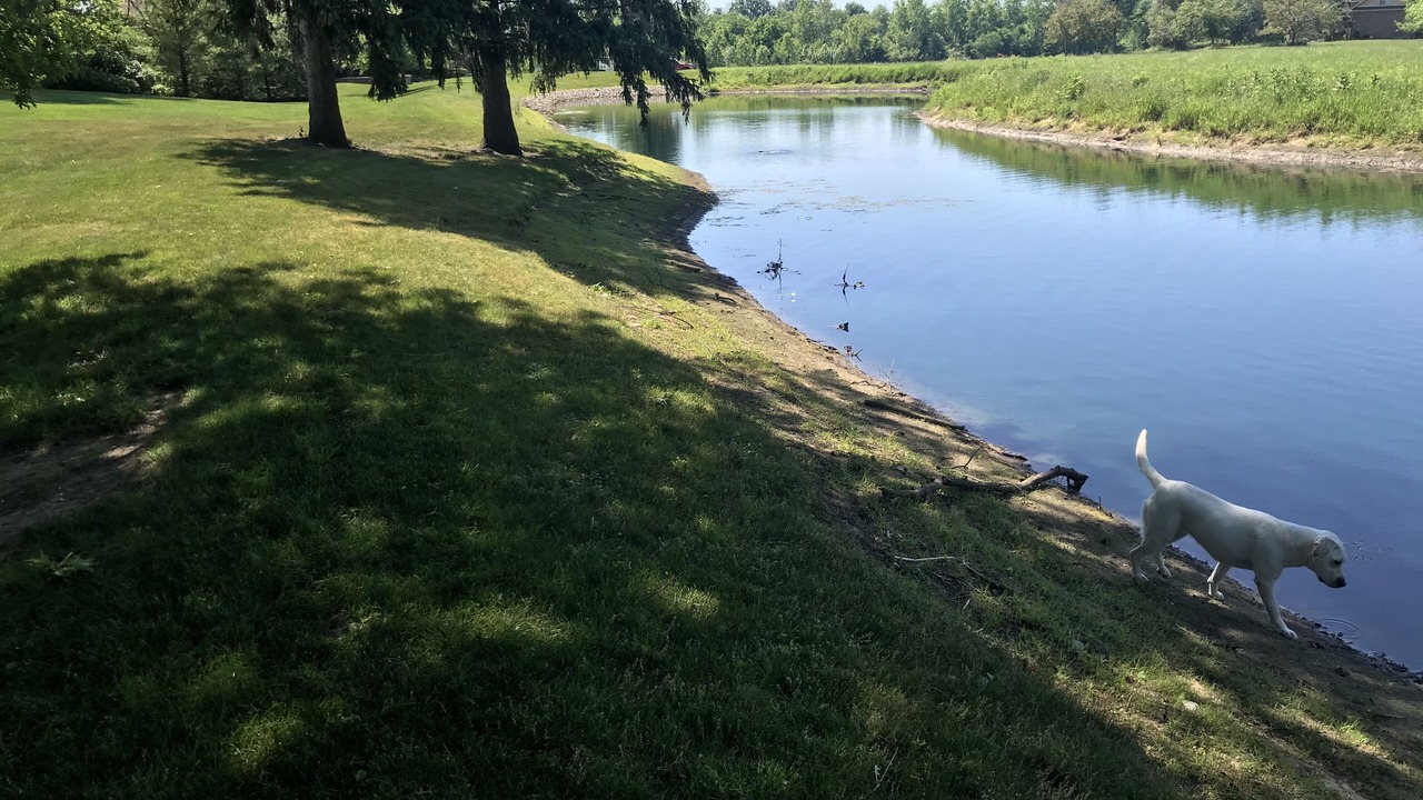 Photo of Outdoor in Delaware County