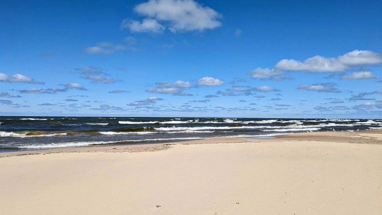 Photo of Others in Fennville