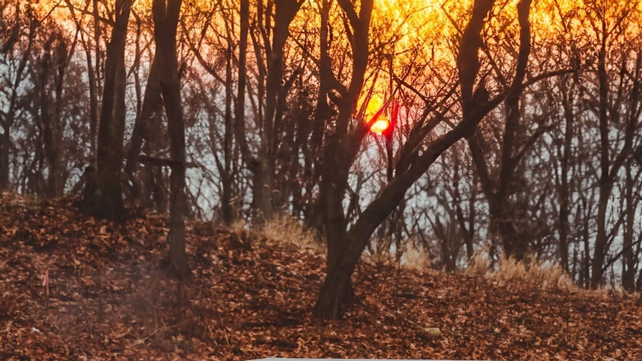 Photo of Outdoor in Michigan City