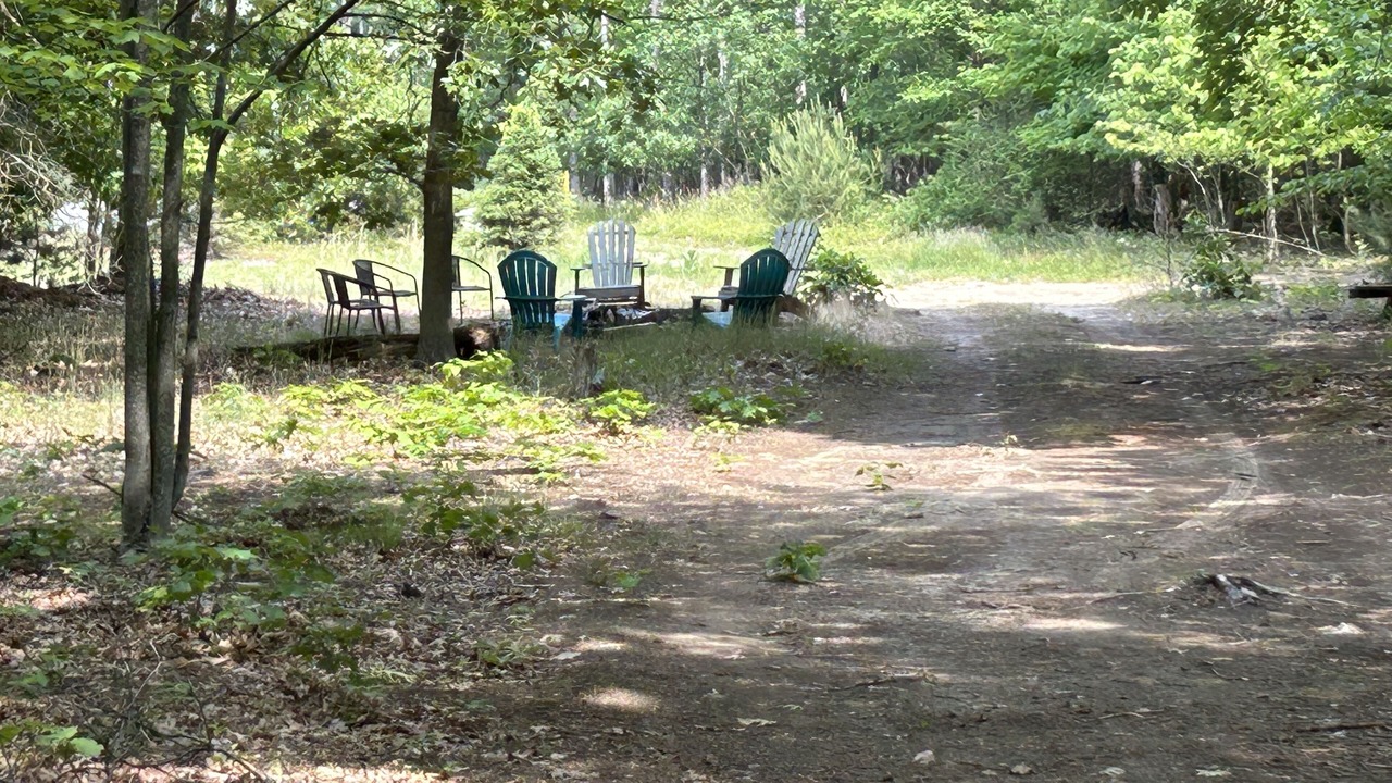 Photo of Outdoor in West Olive