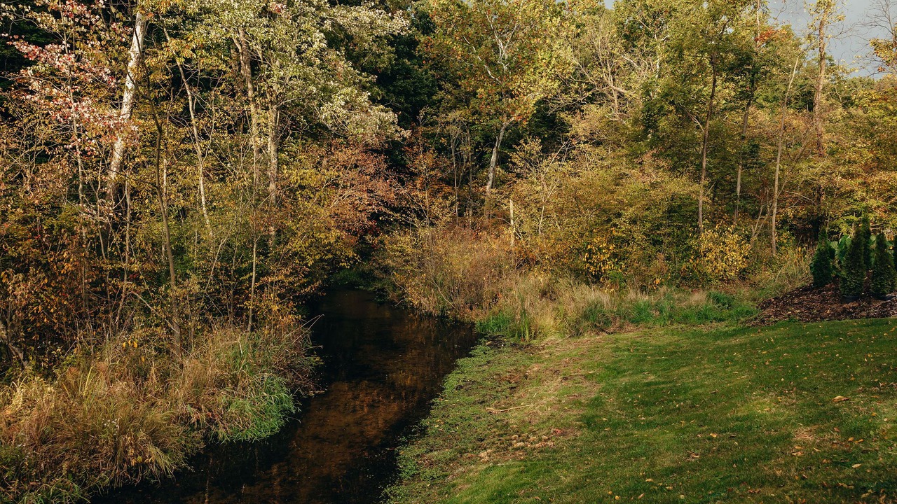 Photo of Outdoor in Vandalia