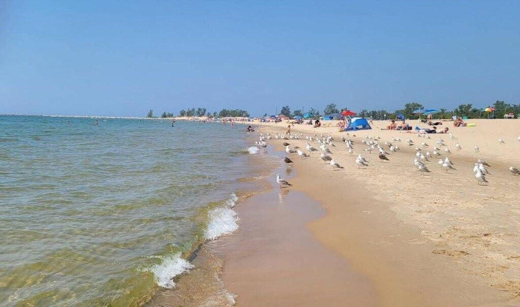 Photo of Others in North Muskegon