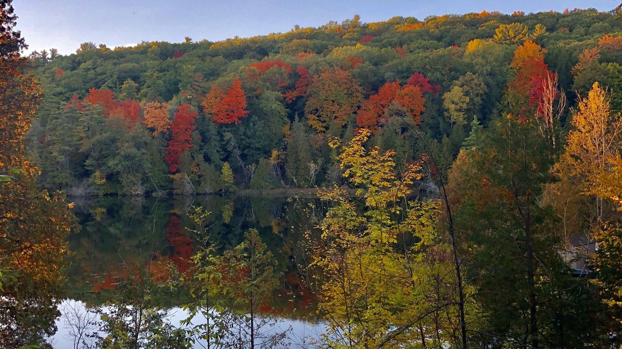 Photo of Outdoor in Newaygo