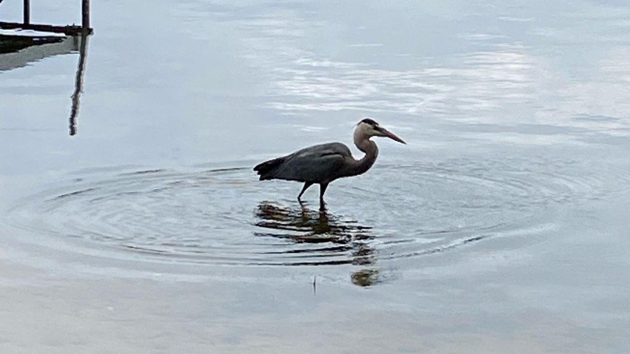 Photo of Others in Grand Junction