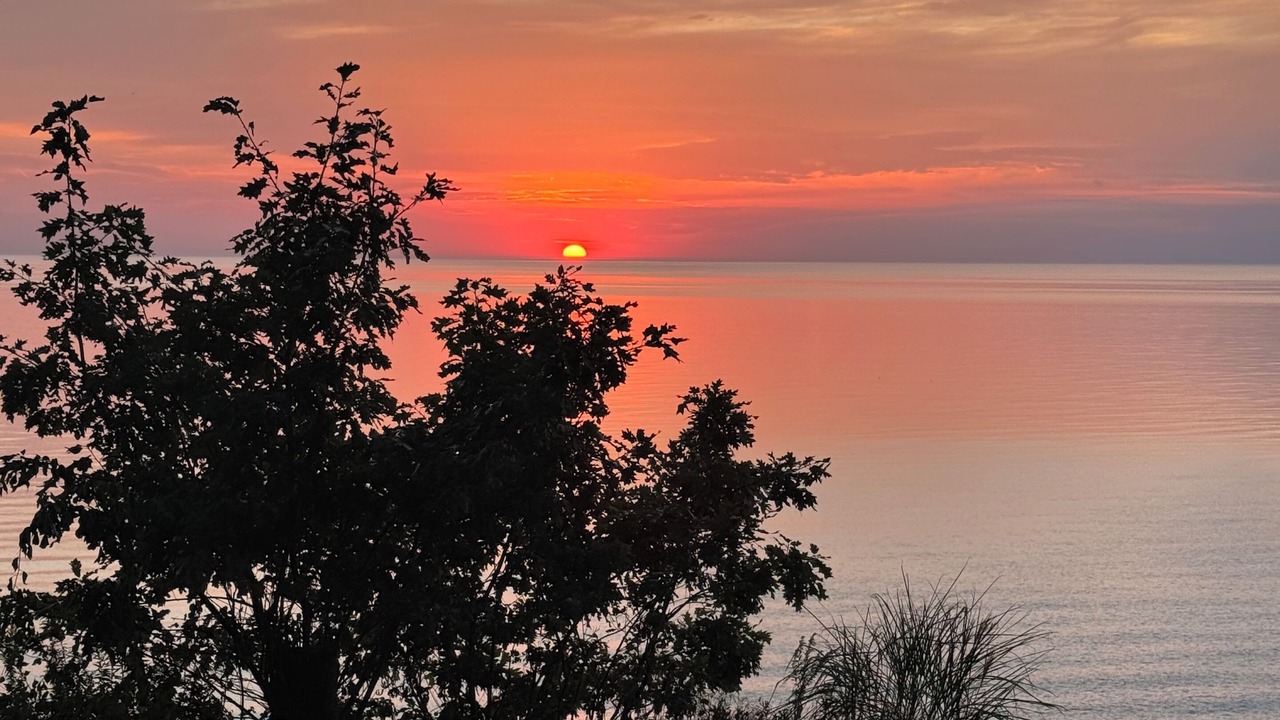 Photo of Others in South Haven