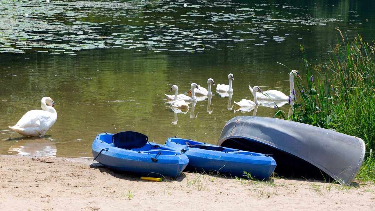 Photo of Others in Three Rivers