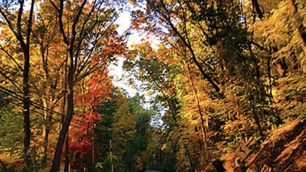 Photo of Outdoor in Coloma