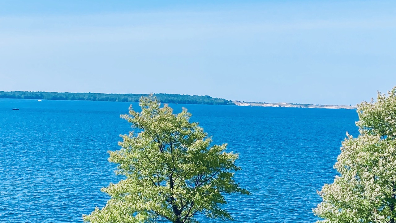Photo of Others in Ludington