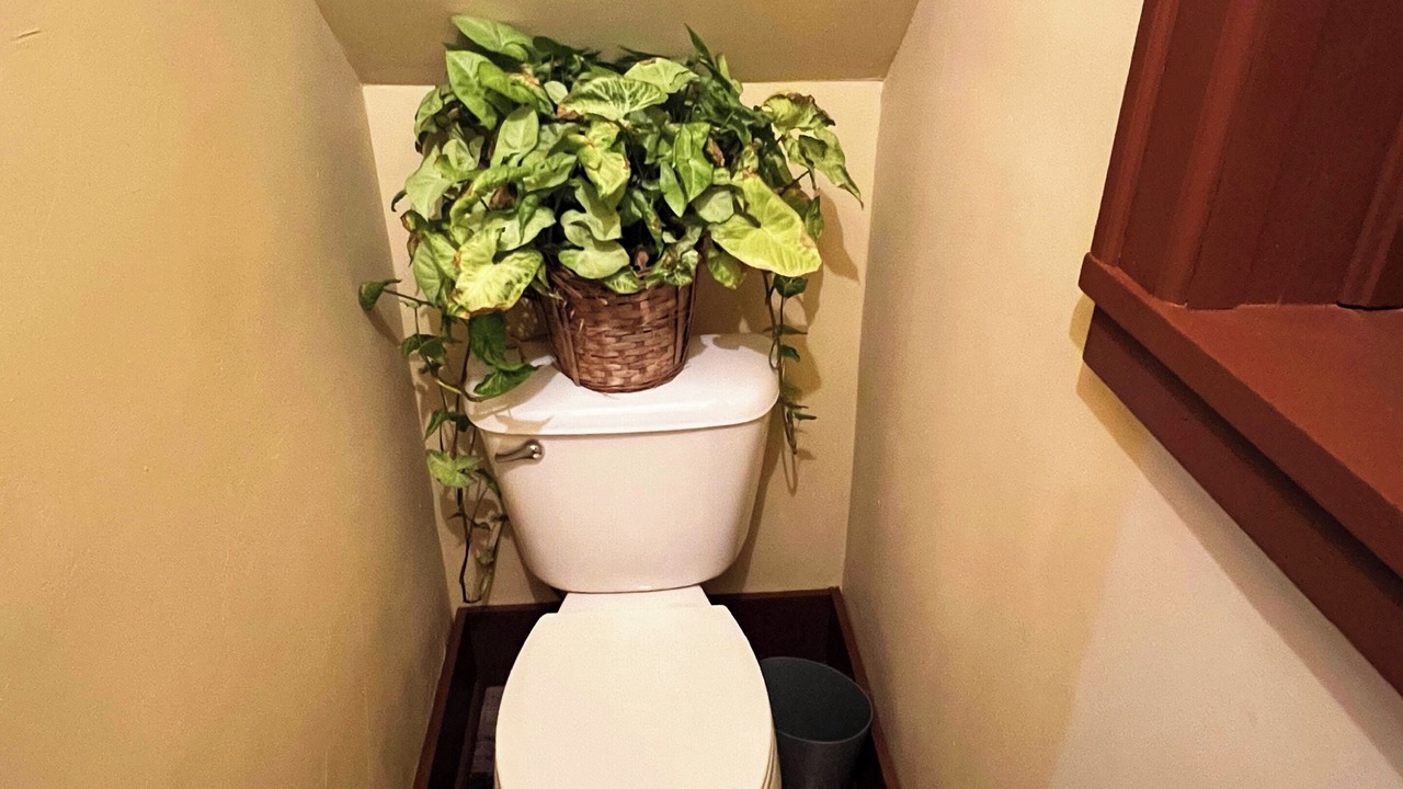 Photo of Bathroom in Watseka
