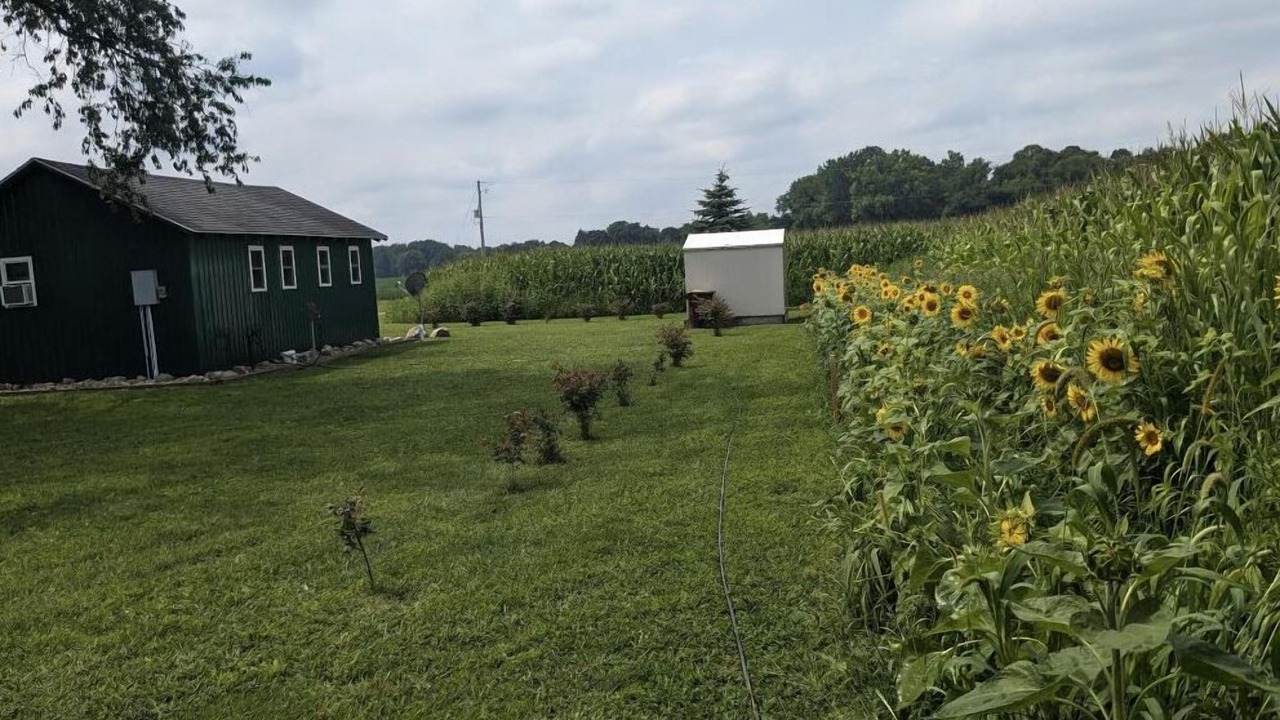 Photo of Outdoor in Berrien Springs