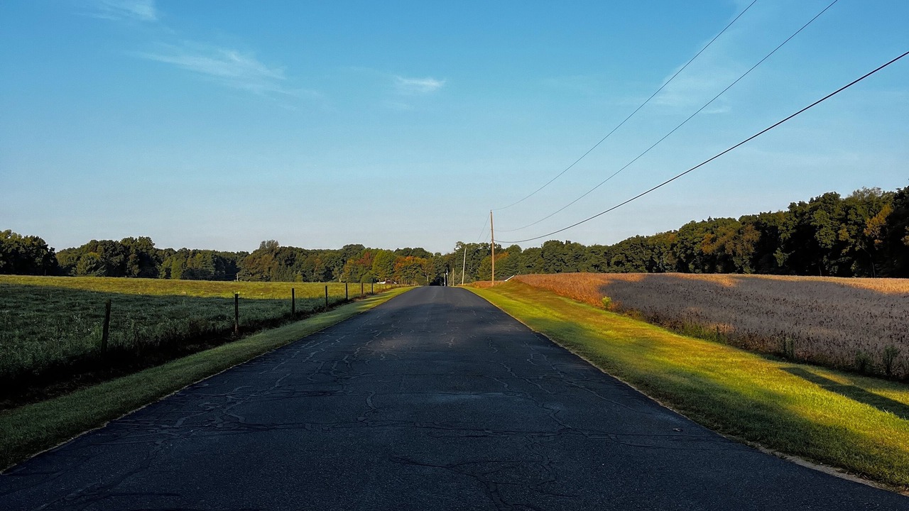 Photo of Others in East Leroy