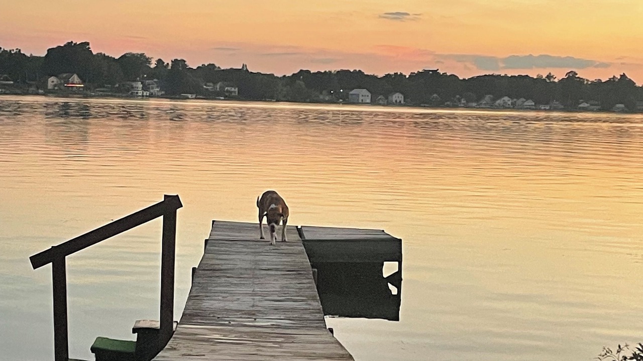 Photo of Outdoor in Fenwick