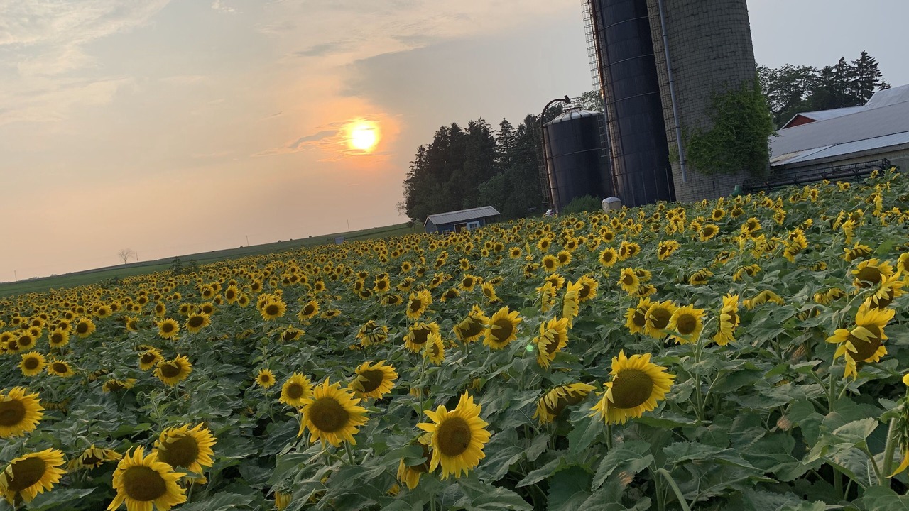 Photo of Outdoor in Montague