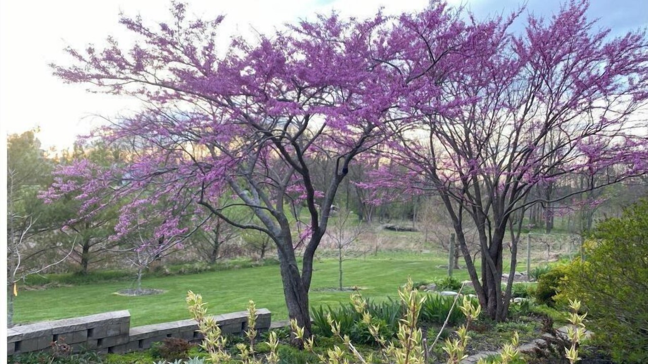 Photo of Outdoor in Goldsmith