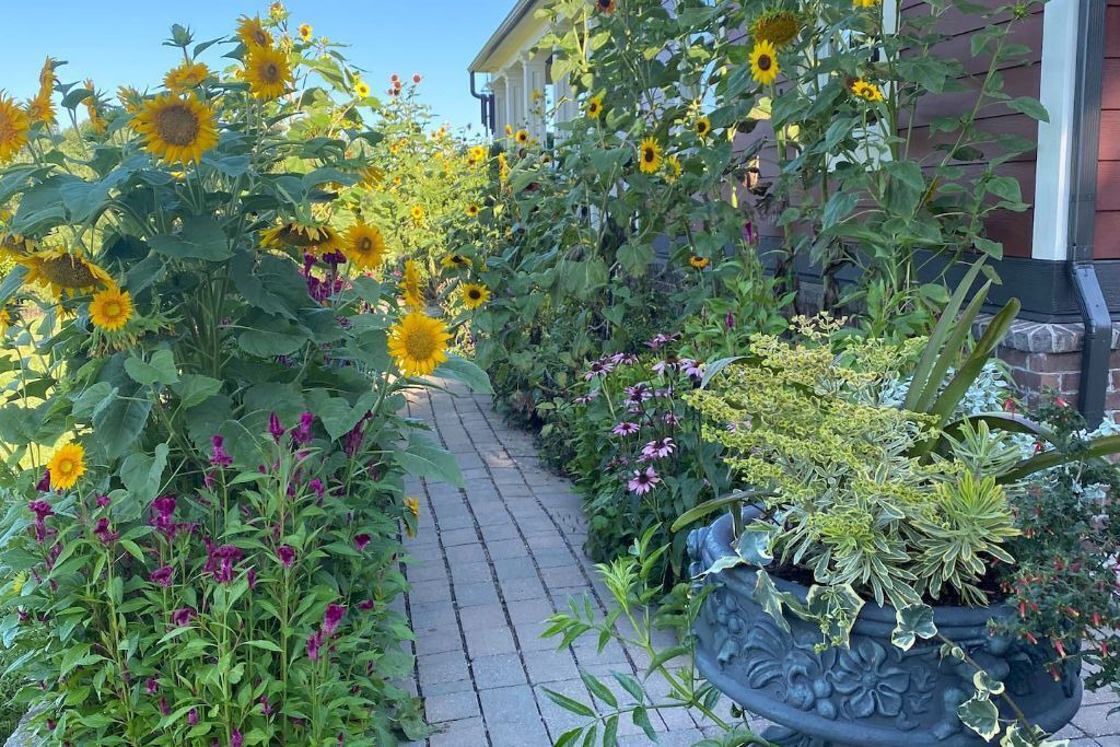 Photo of Outdoor in Goldsmith
