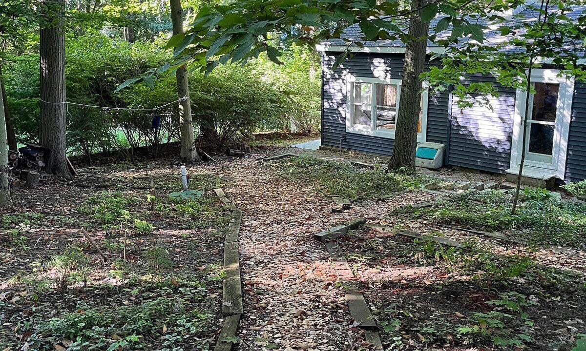 Photo of Outdoor in Holland