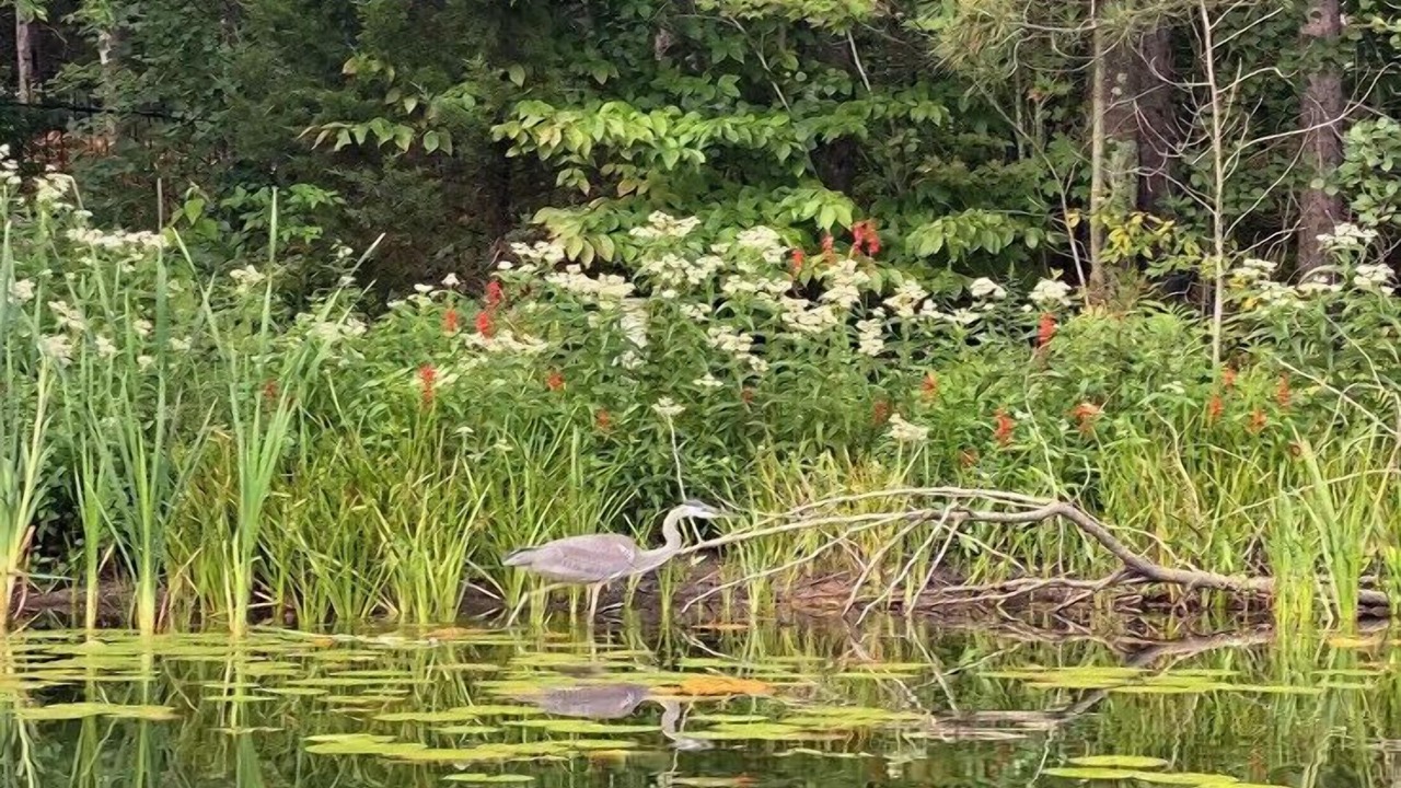 Photo of Outdoor in South Boardman