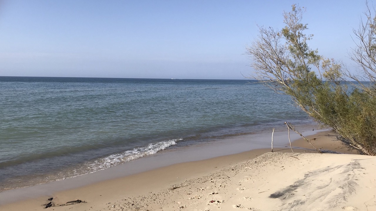 Photo of Others in Lake Michigan Beach