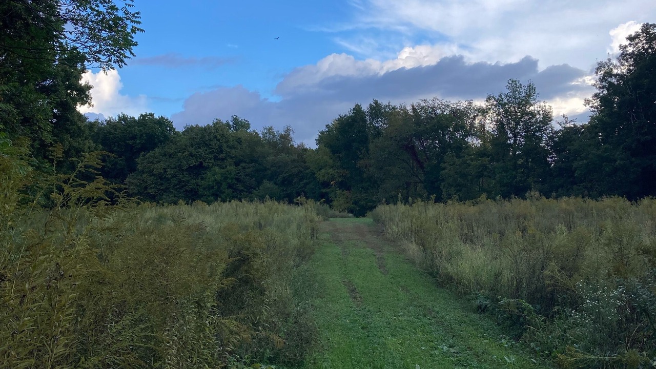 Photo of Outdoor in Dowagiac