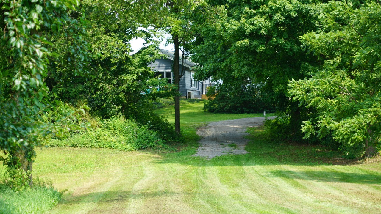 Photo of Others in Dowagiac