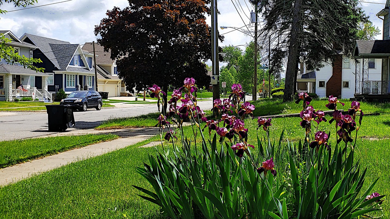 Photo of Outdoor in Northeast South Bend