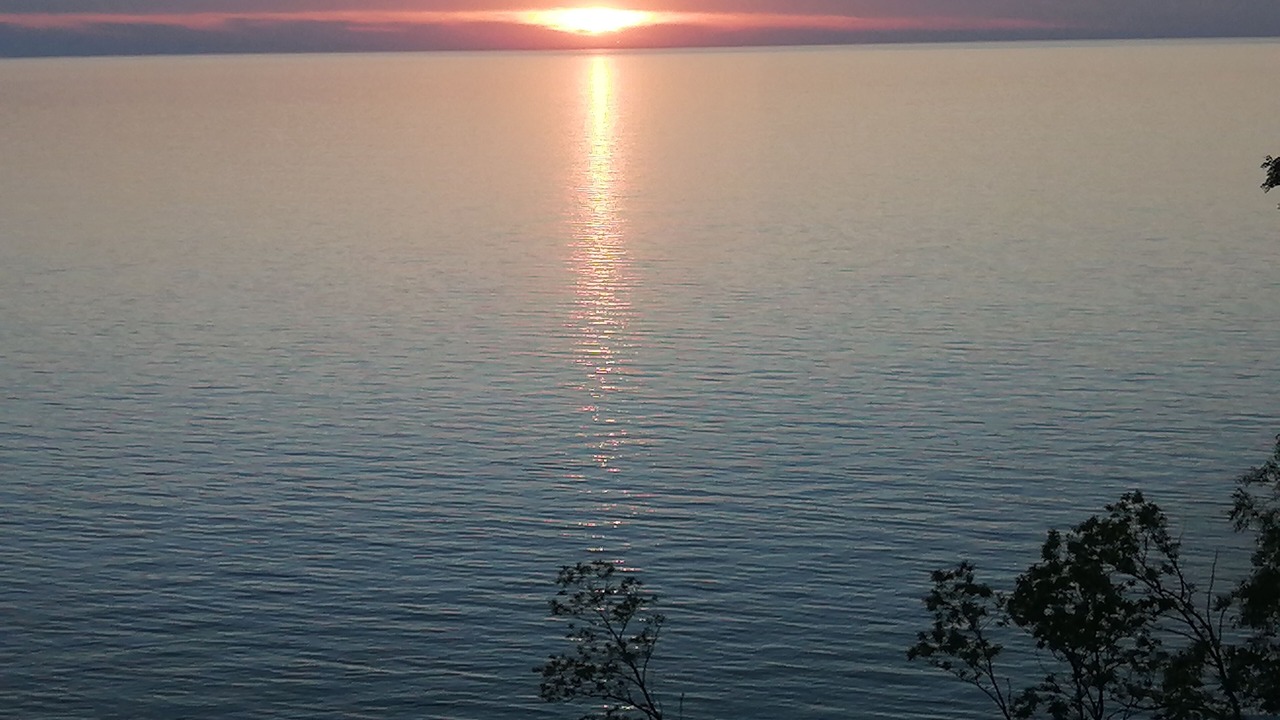 Photo of Others in South Haven