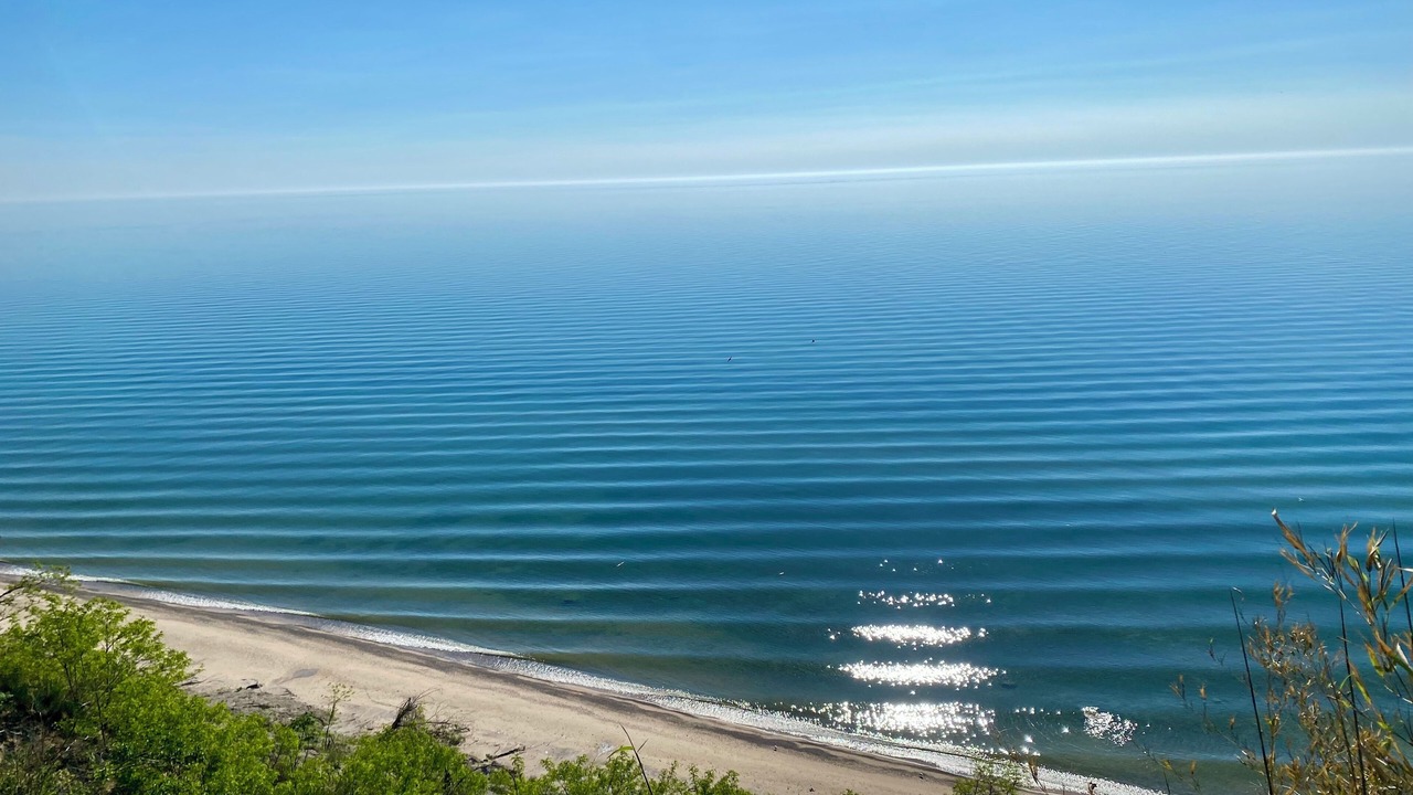 Photo of Others in South Haven