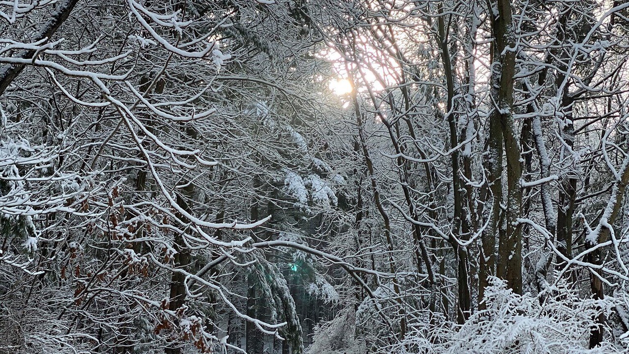 Photo of Others in Shorewood-Tower Hills-Harbert