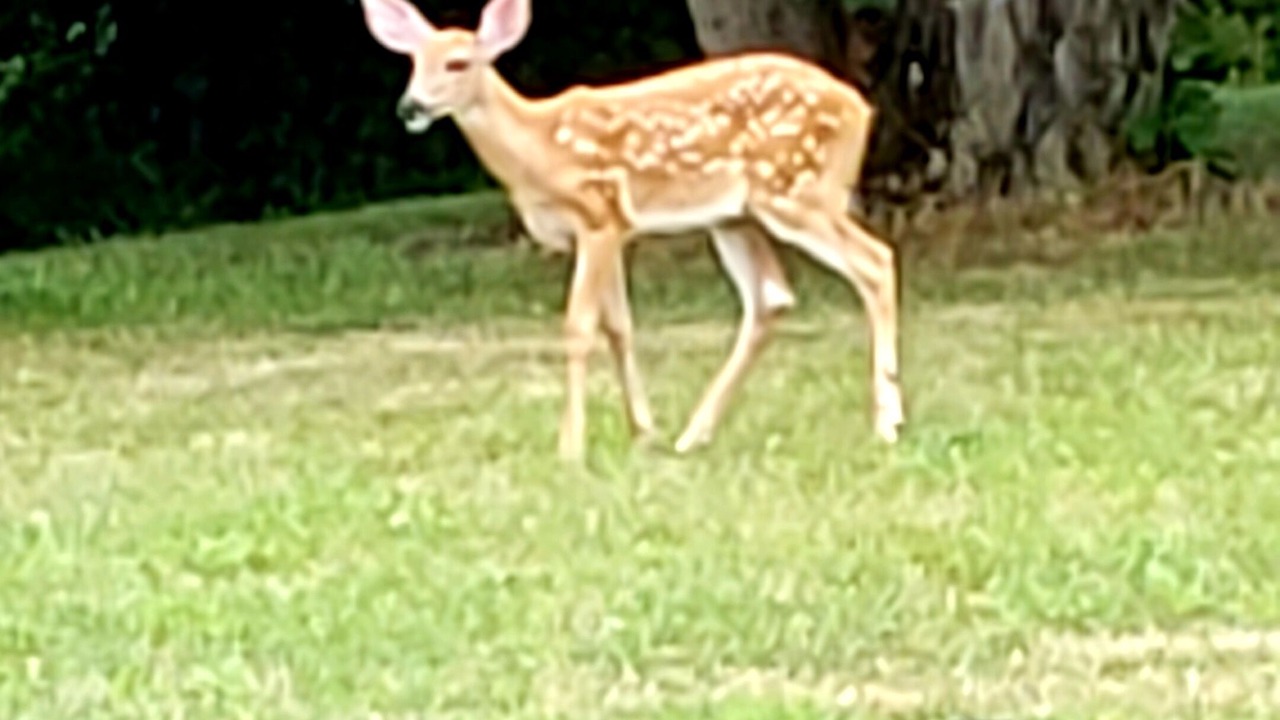 Photo of Outdoor in Rockford