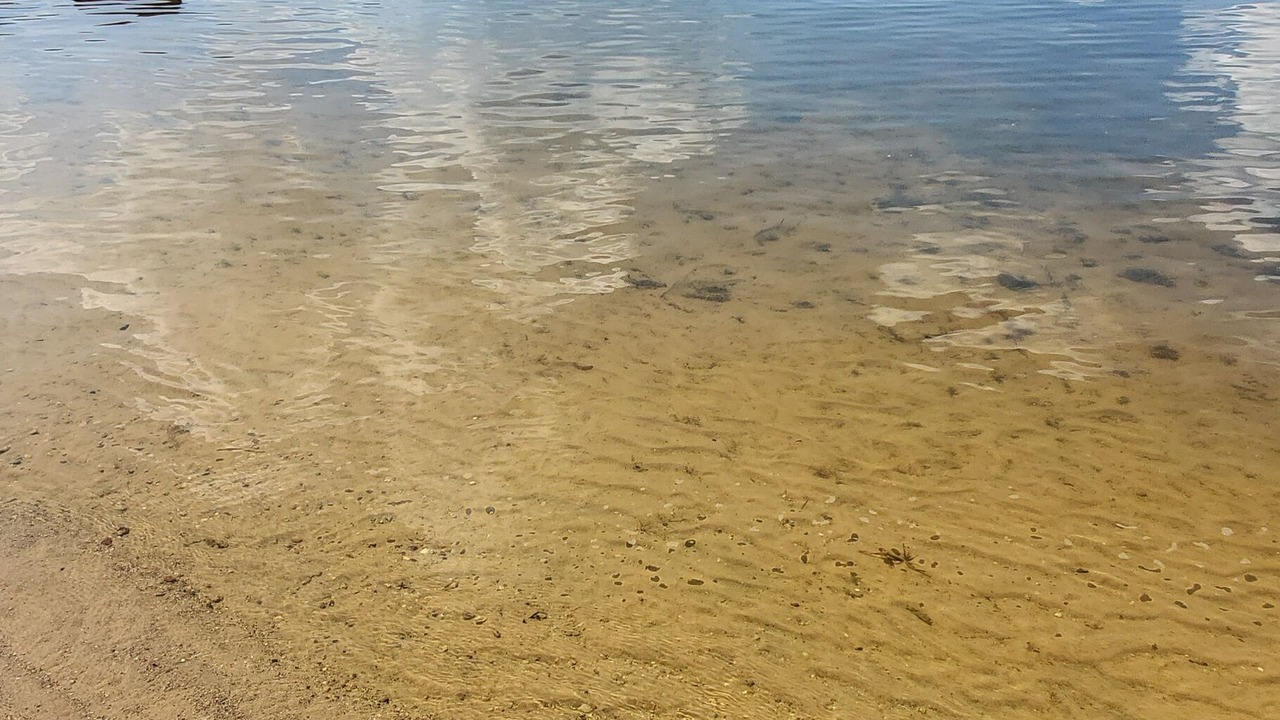 Photo of Others in Grand Junction
