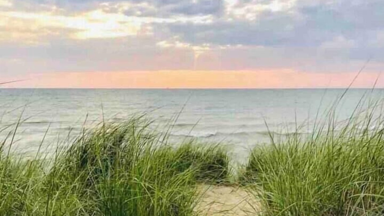 Photo of Outdoor in South Haven