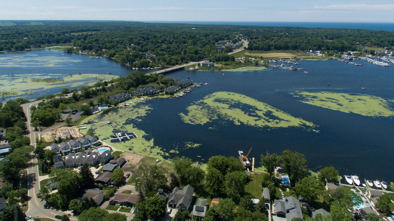 Photo of Outdoor in Saugatuck