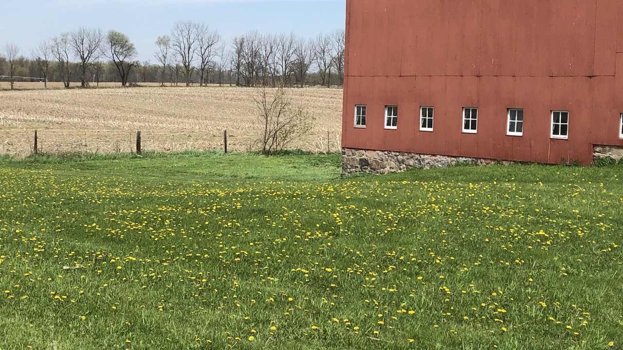 Photo of Outdoor in Kendall