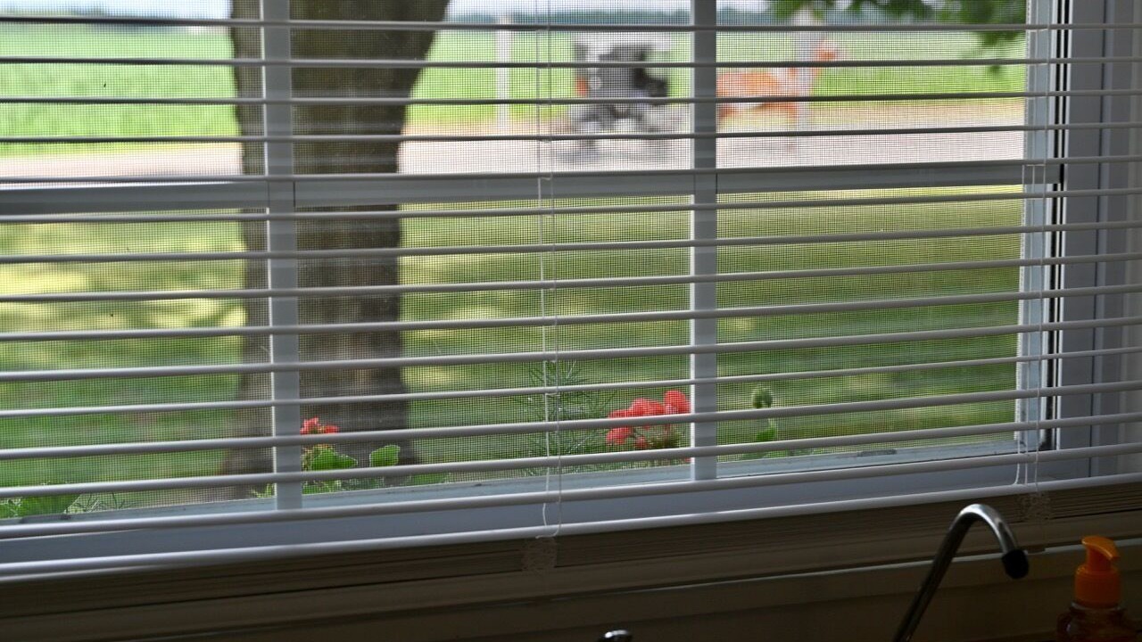 Photo of Others in Shipshewana