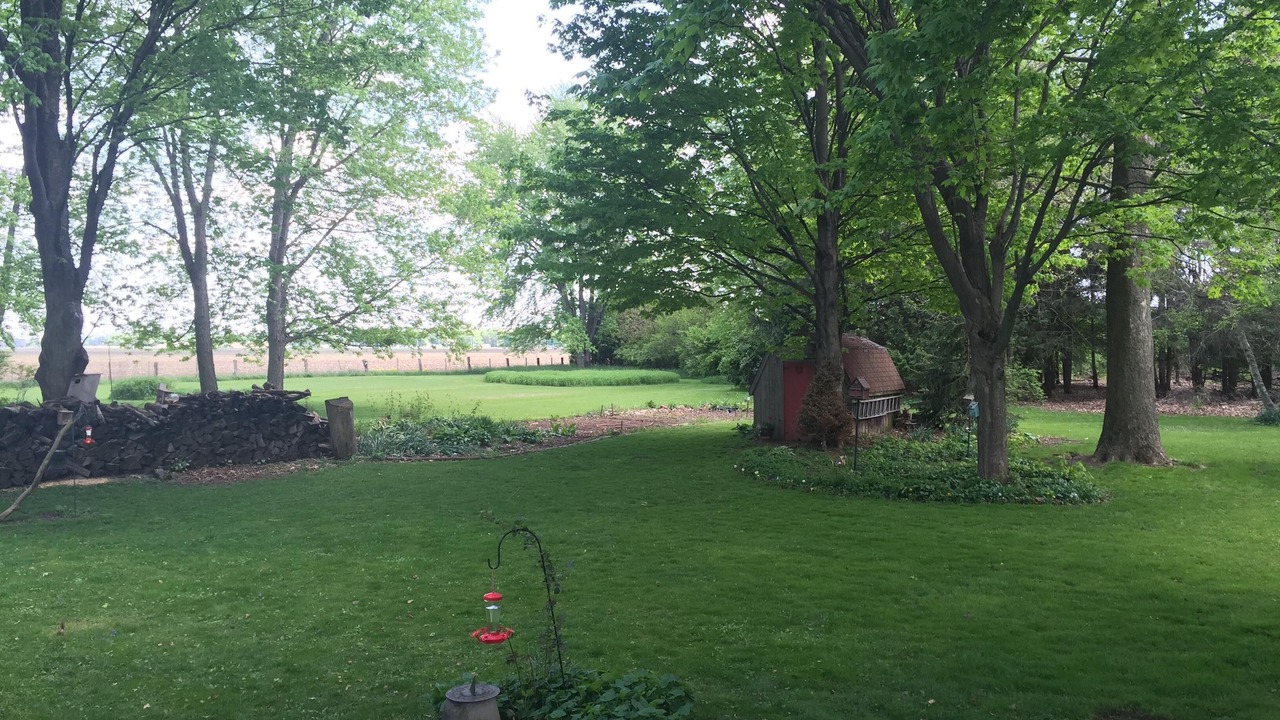 Photo of Outdoor in New Carlisle