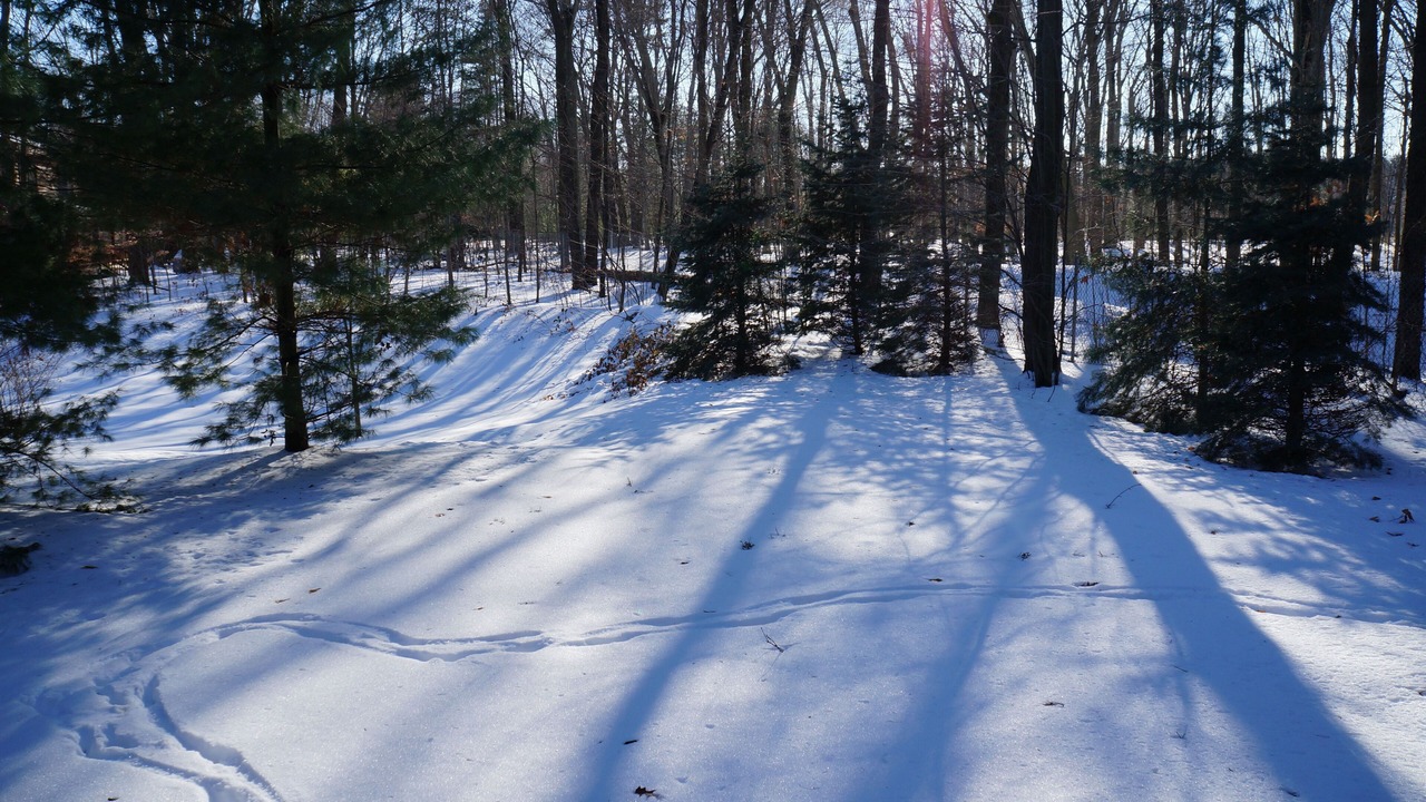 Photo of Outdoor in Saugatuck