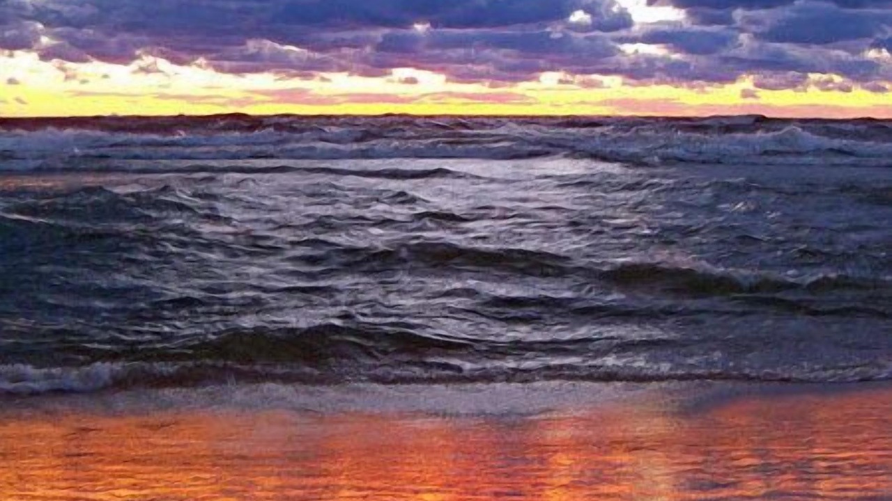 Photo of Others in Ottawa Beach